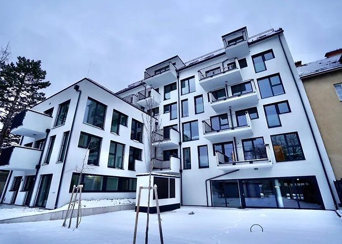 Dm & S Apartment Viena